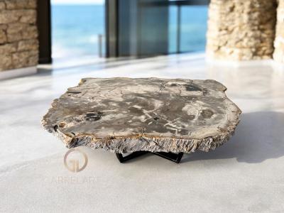 FOSSIL STONE COFFEE TABLE NAPLES