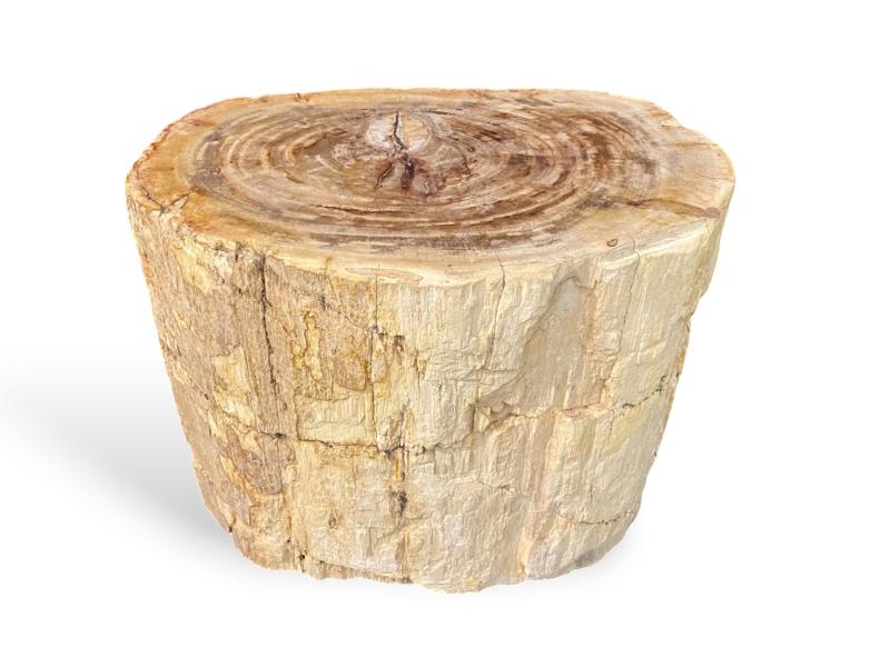 TABLE D'APPOINT EN BOIS PETRIFIE NETTUNO