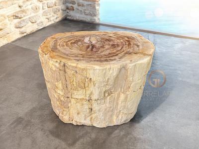 DECORATIVE TABLE IN PETRIFIED WOOD NETTUNO