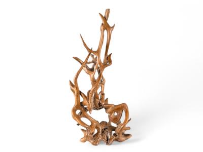 Comprar escultura Raiz Teca