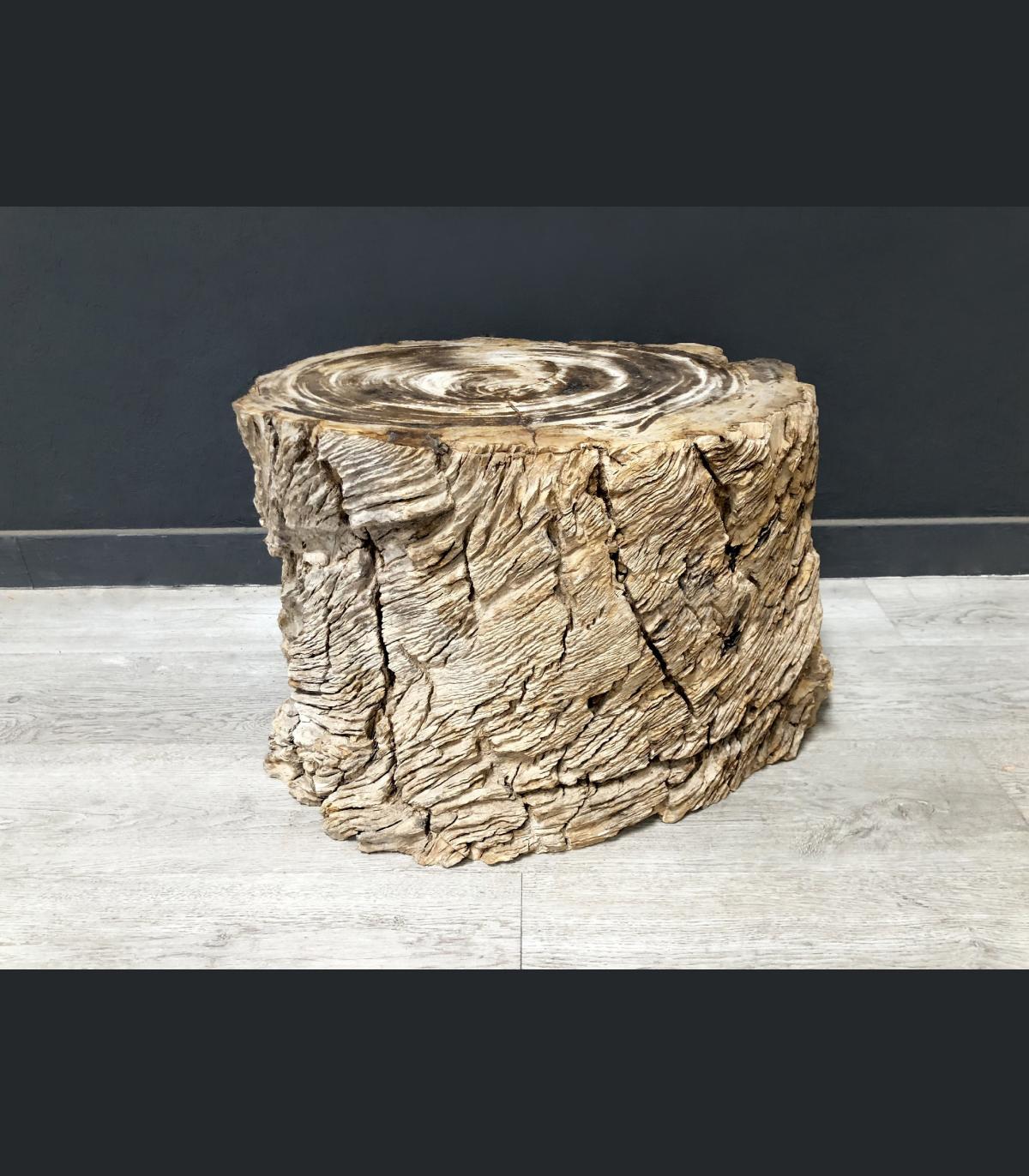  TABLE  BASSE  EN BOIS  FOSSILIS   JUDY