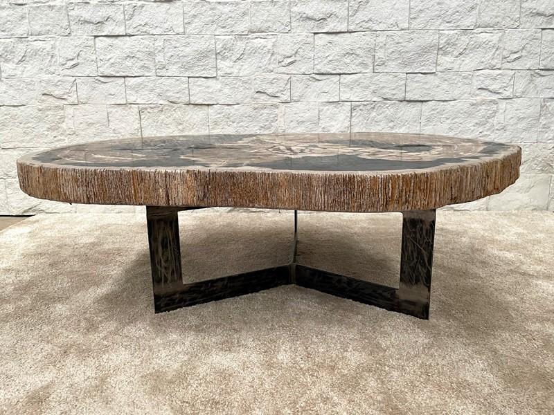 EXCLUSIVE XYLOPHALLUS STONE COFFEE TABLE