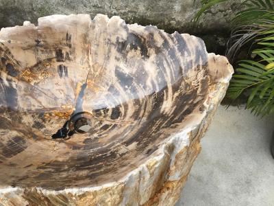 Buy Petrified Wood Pedestal Sink Brazil