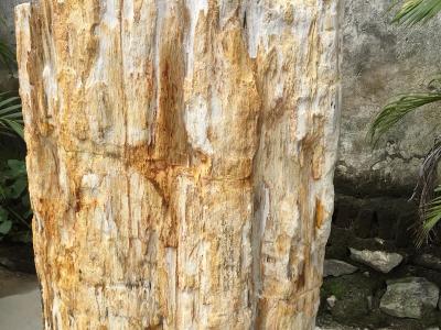 Detail Petrified Wood Pedestal Sink Brazil